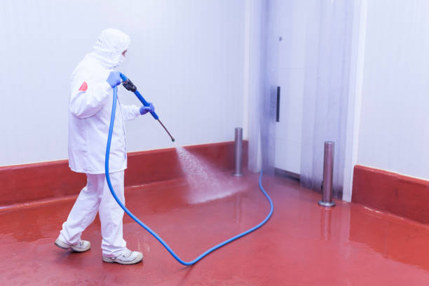 Best Window and Screen Pressure Cleaning in Diboll, TX