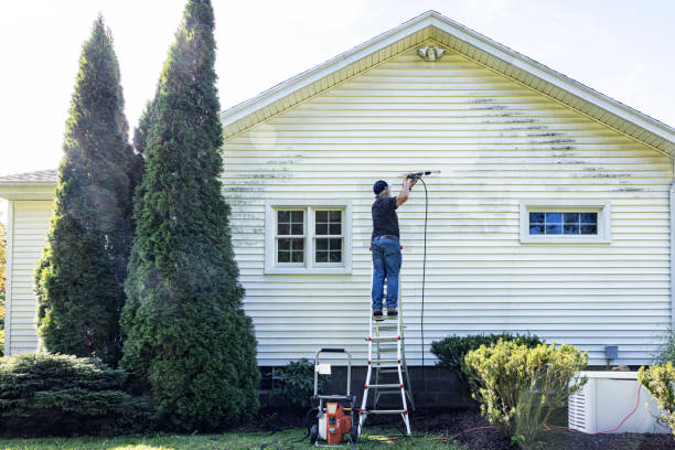 Best Gutter Cleaning and Brightening in Diboll, TX